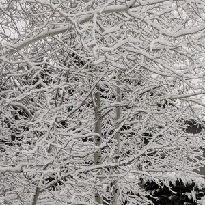 Meet your Posher, Karma